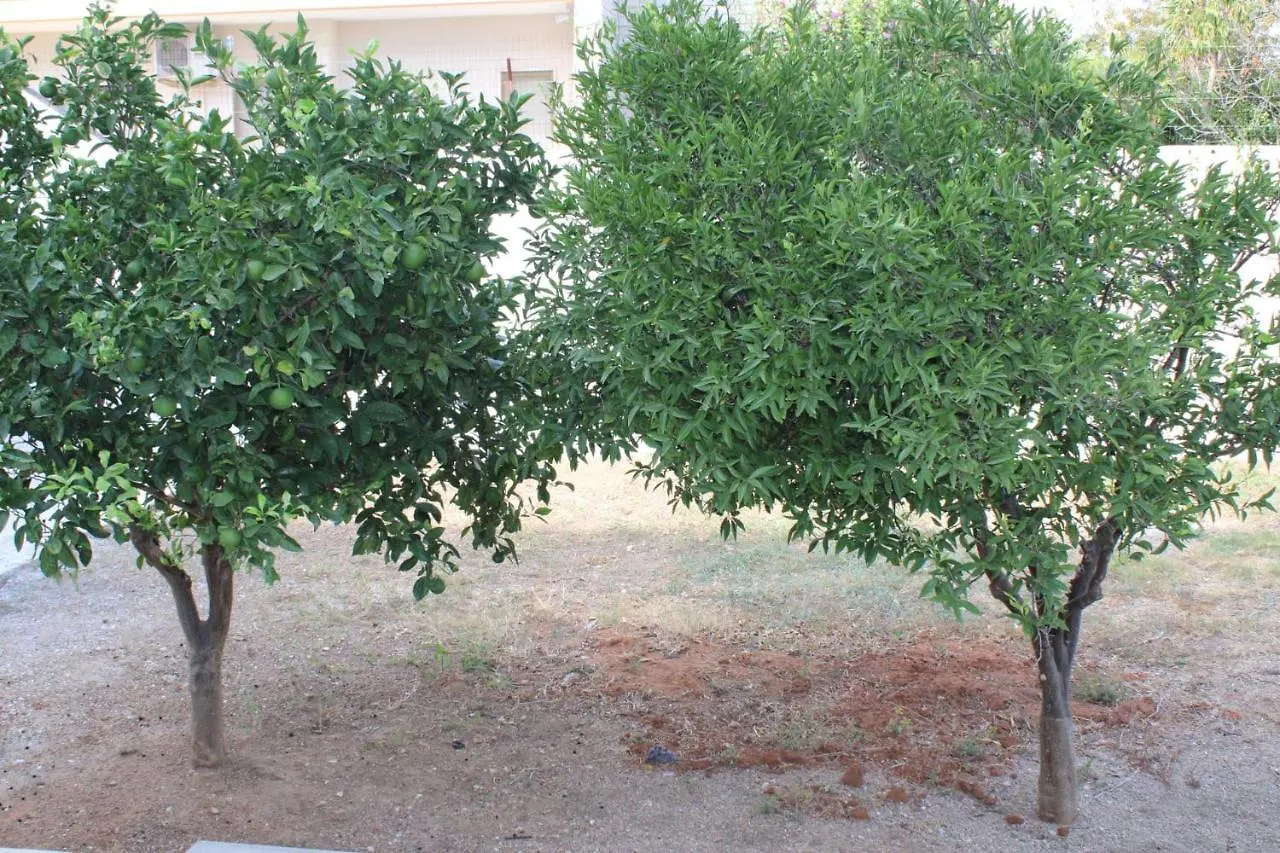 Residenza Botticelli Lägenhet Lecce 0*,